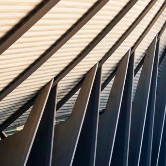 Repieportföy Anasayfa Değer Yarattığımız Alanlar Girişimciler D